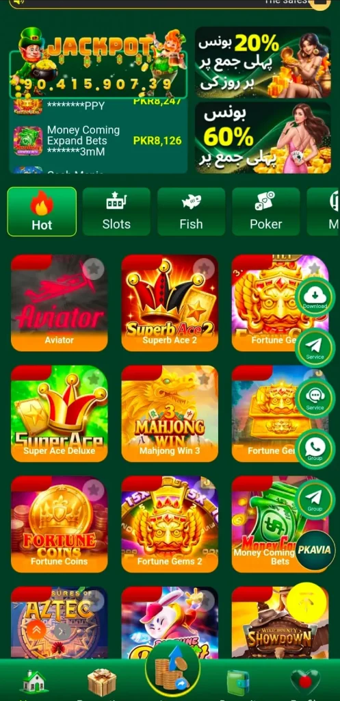 PKAVIA Game Dashboard image