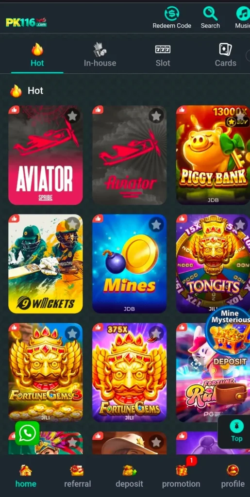 PK116 Game interface screenshot image