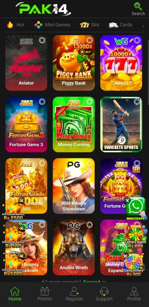 Pak14 Game interface screenshot image