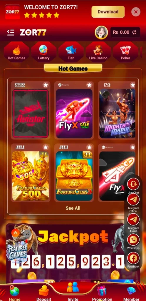 ZOR77 Game Dashboard image